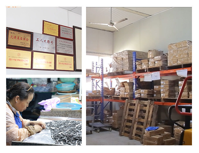 xiamen shangshang technology co.,ltd factory production line